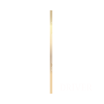 Logo RSJ DRIVER